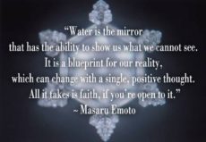 Masaru-Emoto-quote-Water-as-a-Mirror